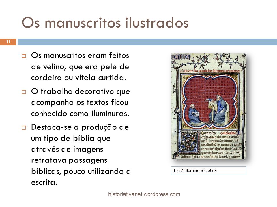 Os manuscritos ilustrados