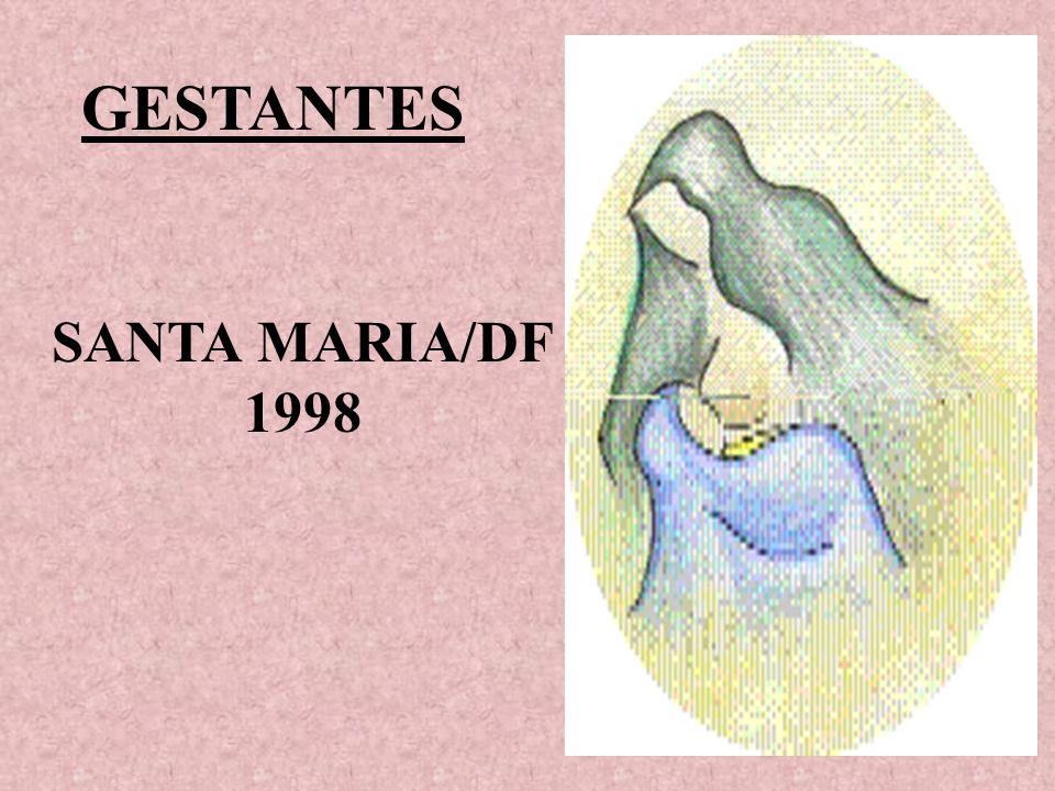 GESTANTES SANTA MARIA/DF 1998