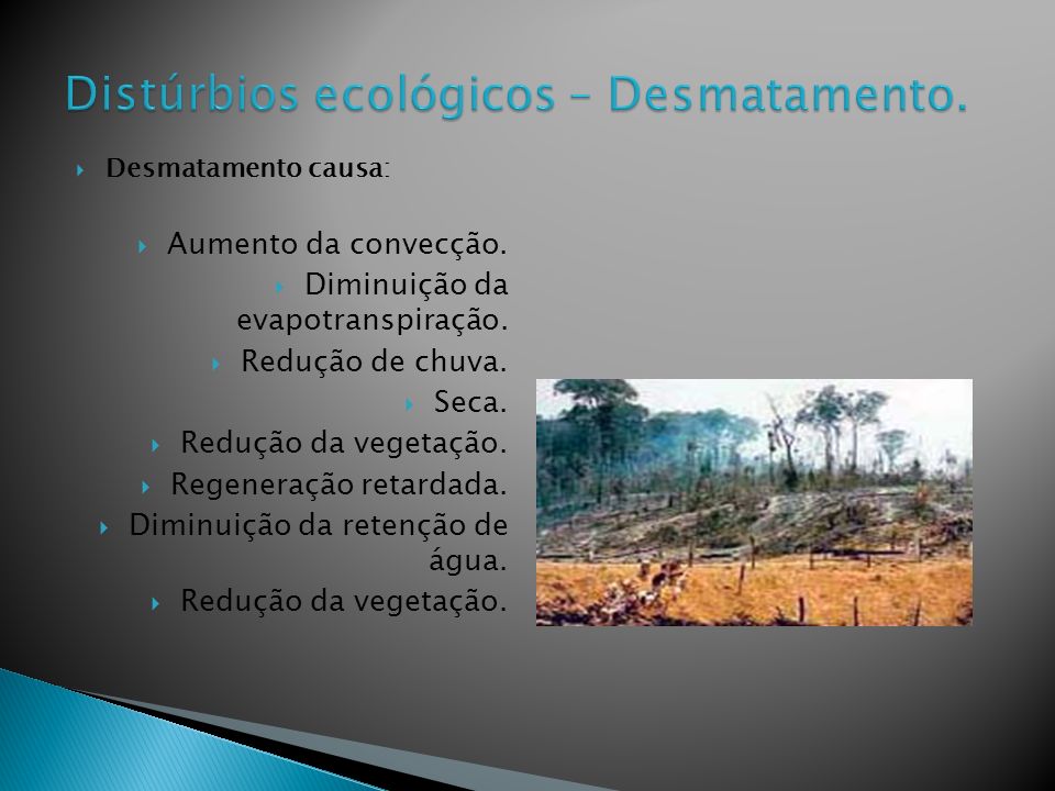 Distúrbios ecológicos – Desmatamento.