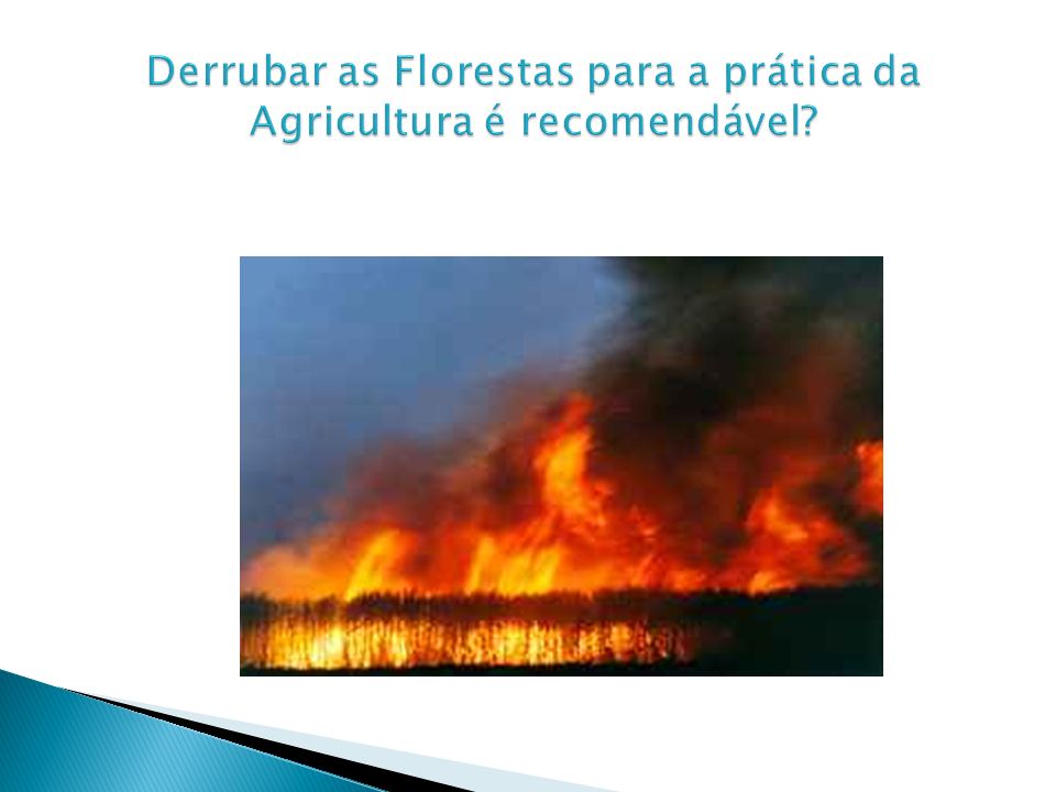 Derrubar as Florestas para a prática da Agricultura é recomendável
