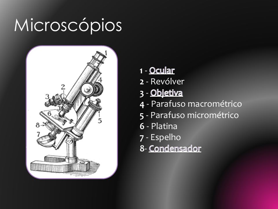Microscópios 1 - Ocular 2 - Revólver 3 - Objetiva