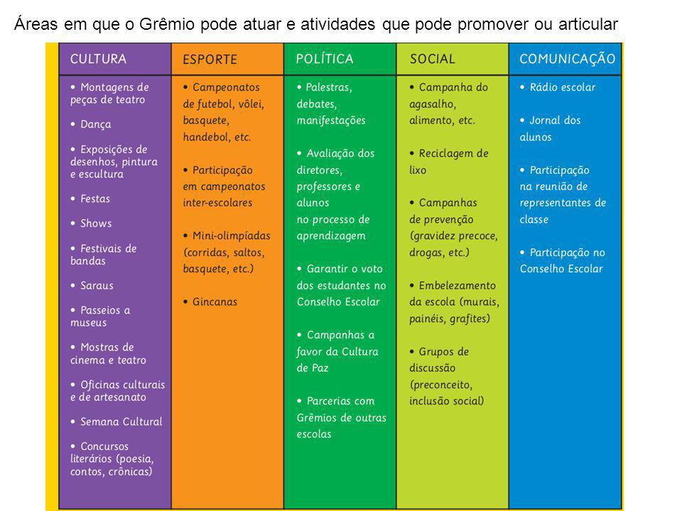 Áreas em que o Grêmio pode atuar e atividades que pode promover ou articular