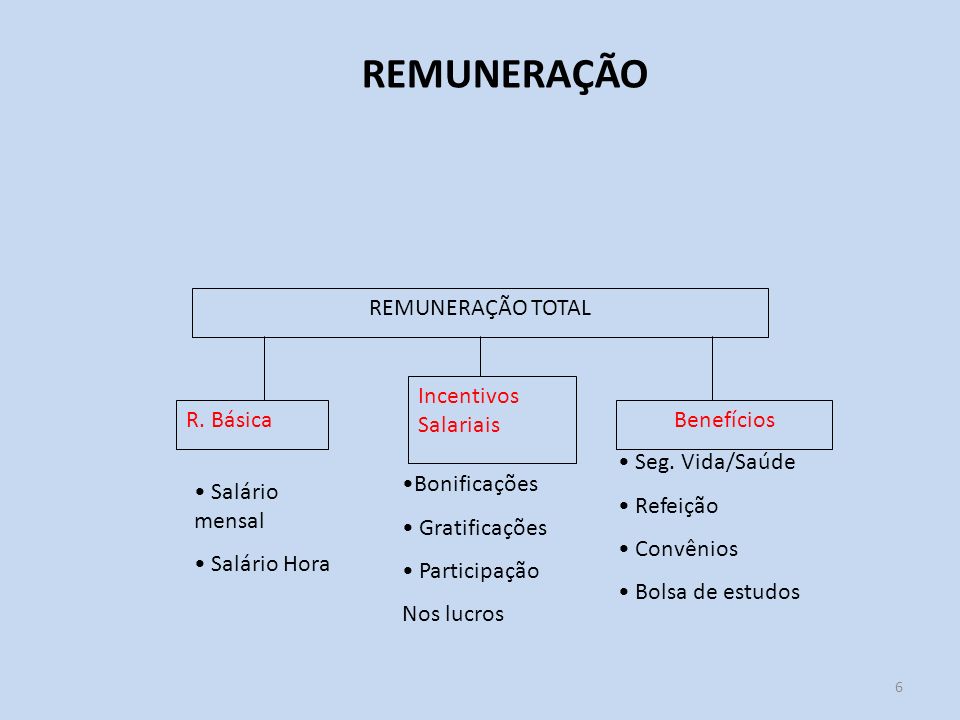 REMUNERAÇÃO REMUNERAÇÃO TOTAL Incentivos Salariais R. Básica