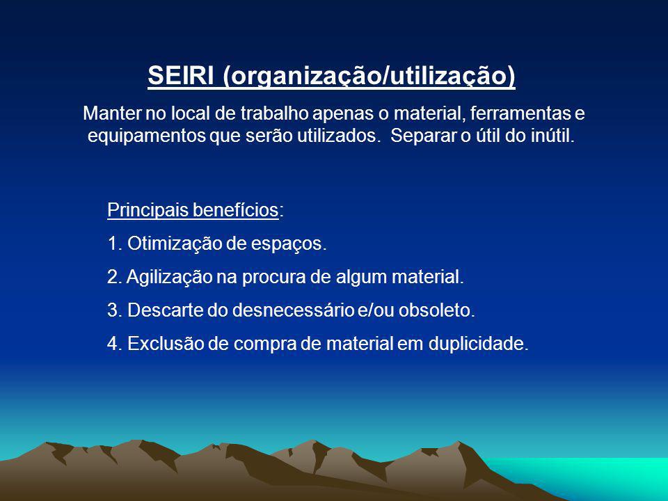 SEIRI (organização/utilização)