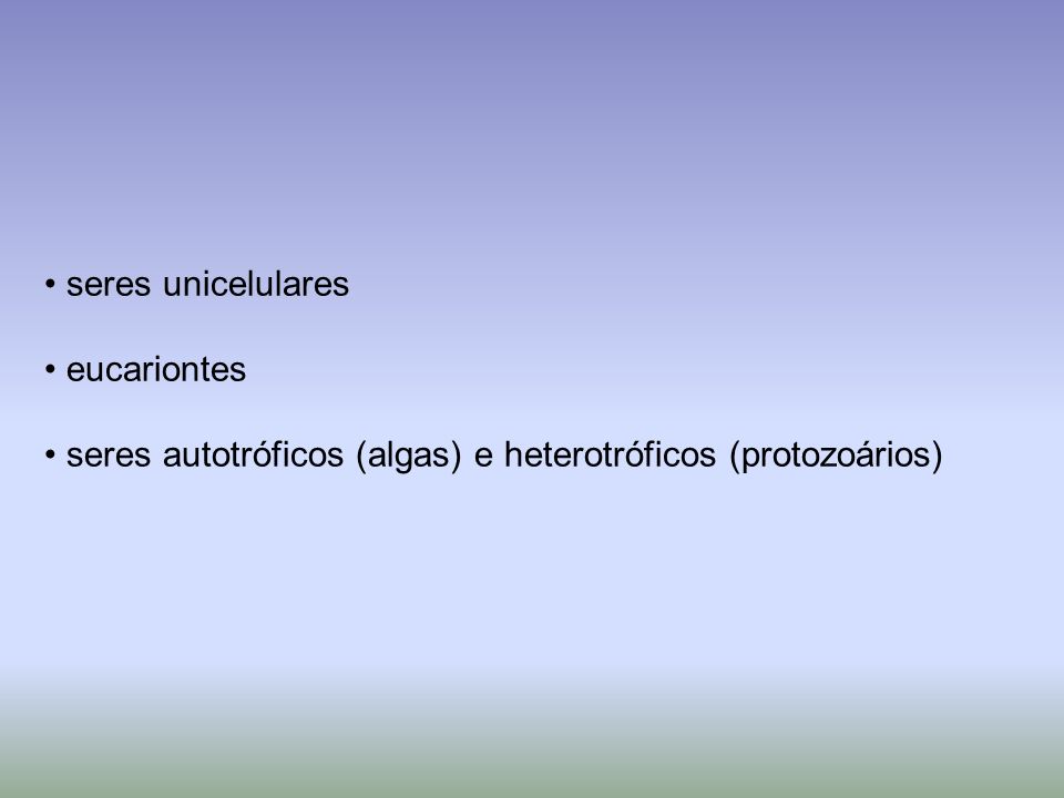 seres unicelulares eucariontes seres autotróficos (algas) e heterotróficos (protozoários)
