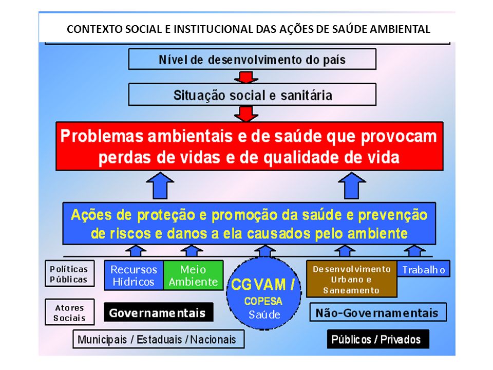 CONTEXTO SOCIAL E INSTITUCIONAL DAS AÇÕES DE SAÚDE AMBIENTAL