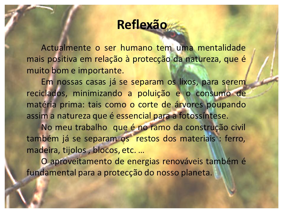 Reflexão Actualmente o ser humano tem uma mentalidade mais positiva em relação à protecção da natureza, que é muito bom e importante.