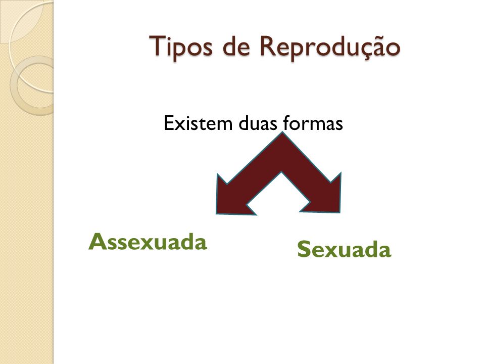 Tipos de Reprodução Existem duas formas Assexuada Sexuada