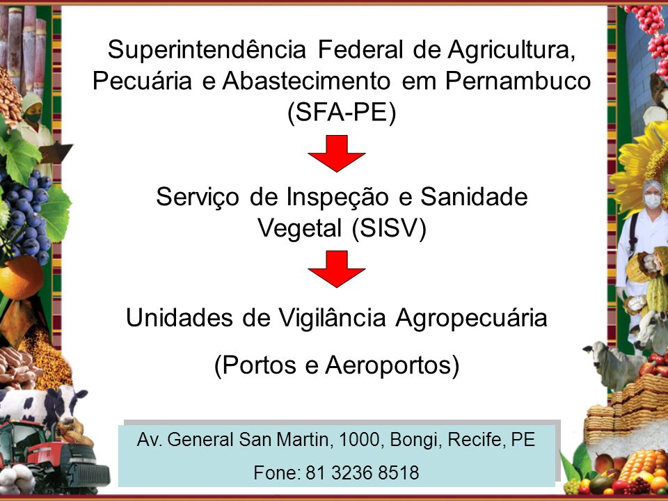 Serviço de Inspeção e Sanidade Vegetal (SISV)