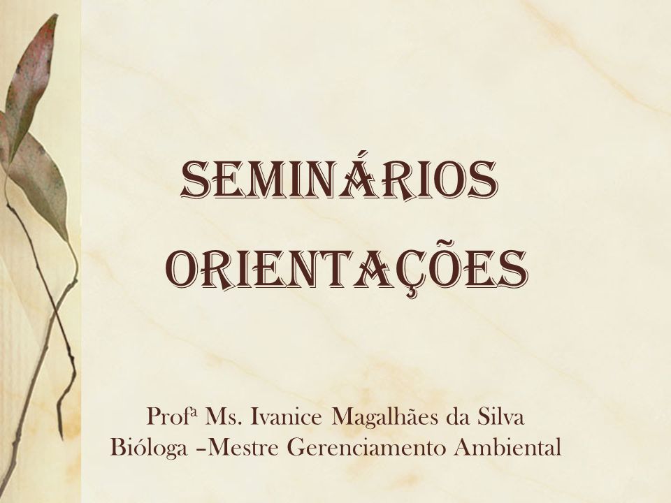 SEMINÁRIOS Orientações Profa Ms. Ivanice Magalhães da Silva