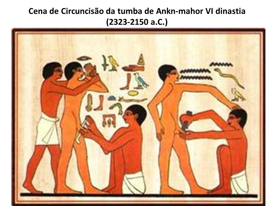 Cena de Circuncisão da tumba de Ankn-mahor VI dinastia ( a. C