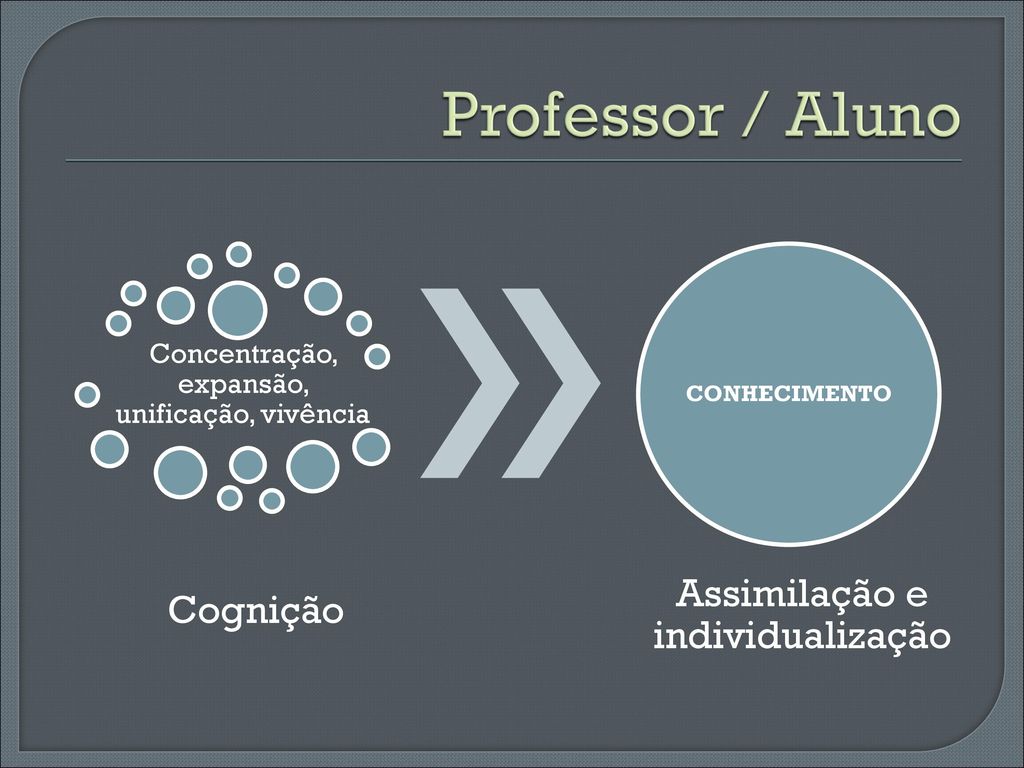 Professor / Aluno Assimilação e individualização Cognição