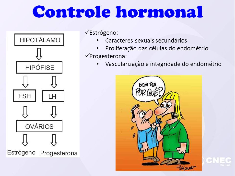 Controle hormonal Estrógeno: Caracteres sexuais secundários