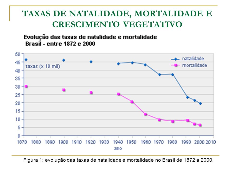 DINÂMICA DEMOGRÁFICA DA POPULAÇÃO BRASILEIRA I - ppt carregar