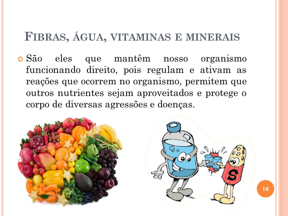 Fibras, água, vitaminas e minerais