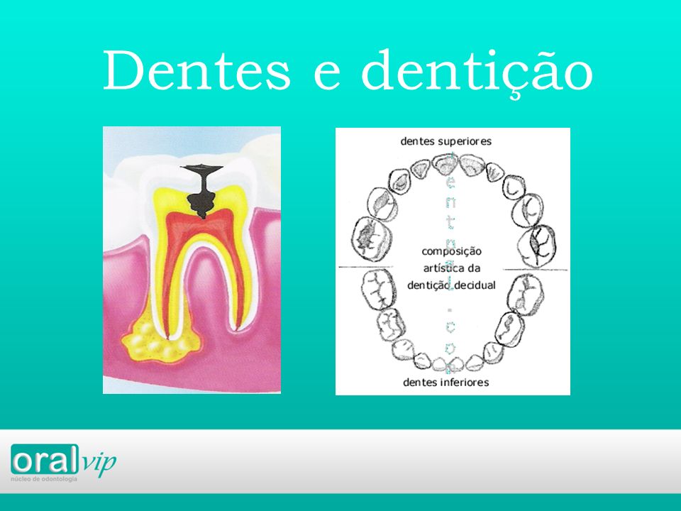 Dentes e dentição