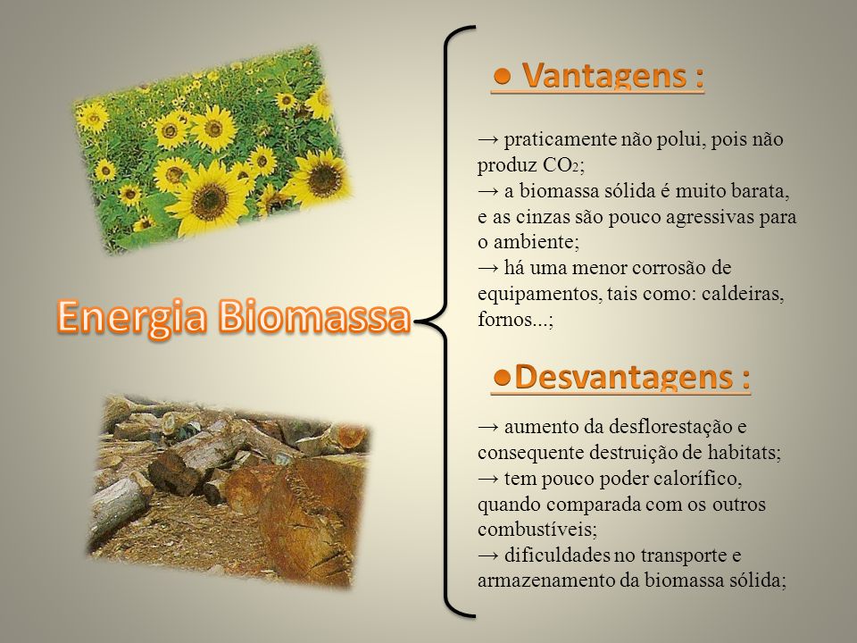 Energia Biomassa ● Vantagens : ●Desvantagens :