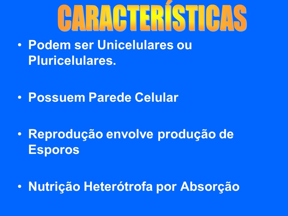 CARACTERÍSTICAS Podem ser Unicelulares ou Pluricelulares.