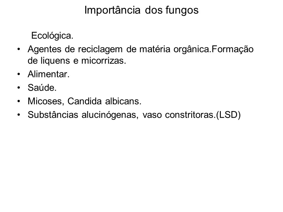 Importância dos fungos