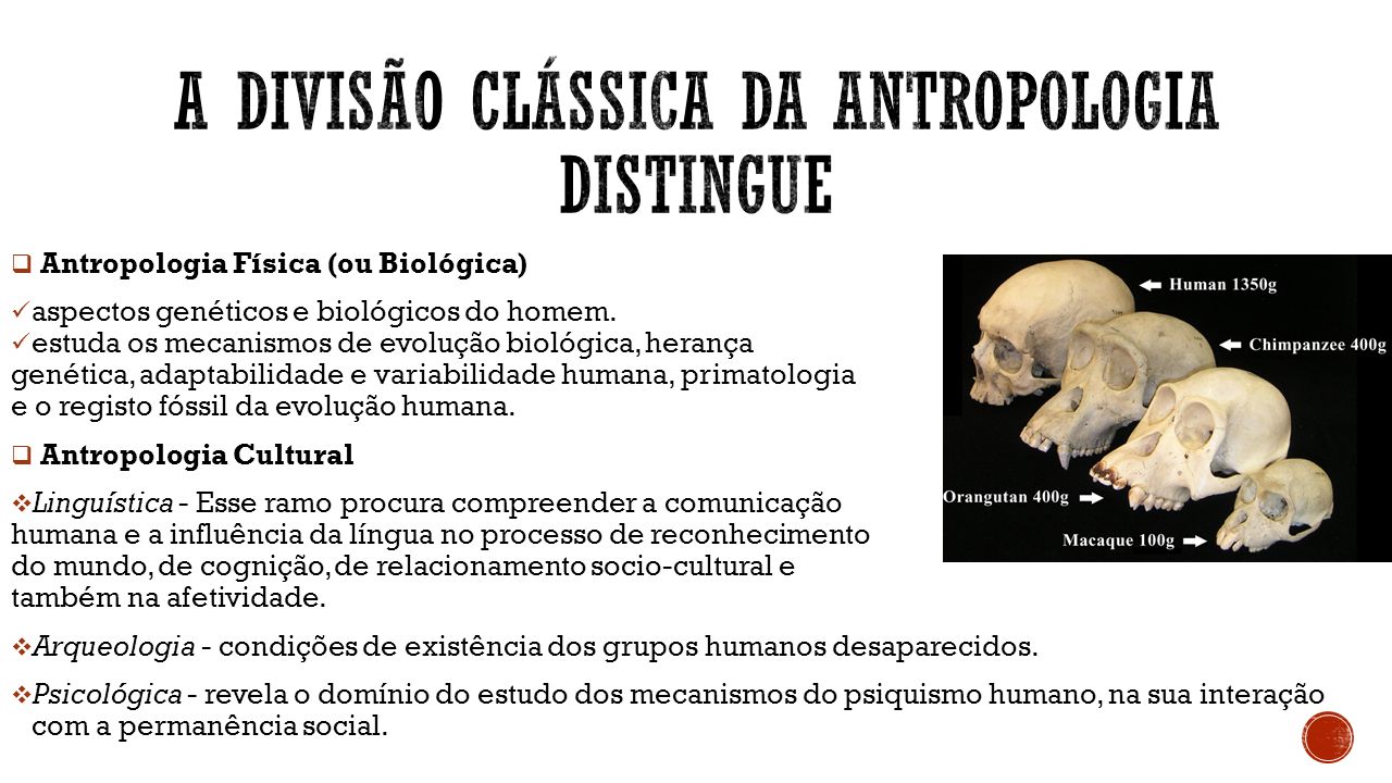 A divisão clássica da Antropologia distingue