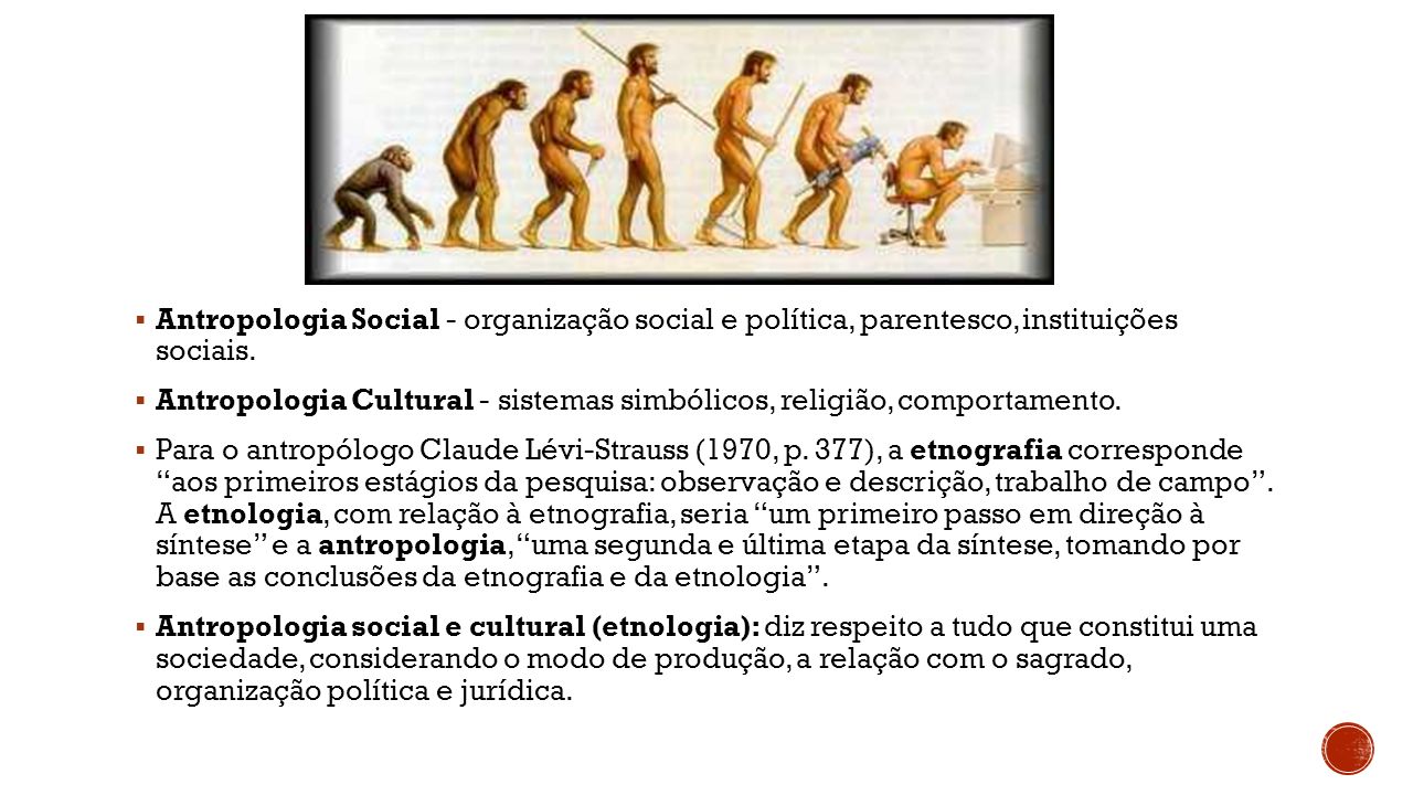 Antropologia Social - organização social e política, parentesco, instituições sociais.