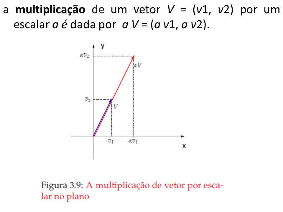 a multiplicação de um vetor V = (v1, v2) por um escalar a é dada por a V = (a v1, a v2).