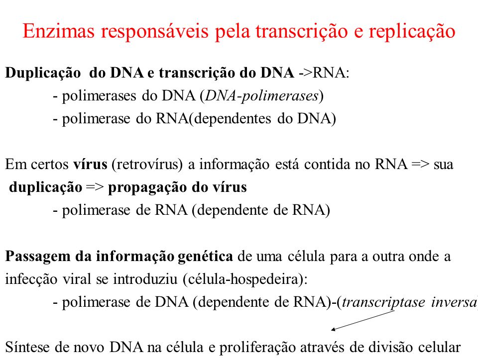 Enzimas responsáveis pela transcrição e replicação