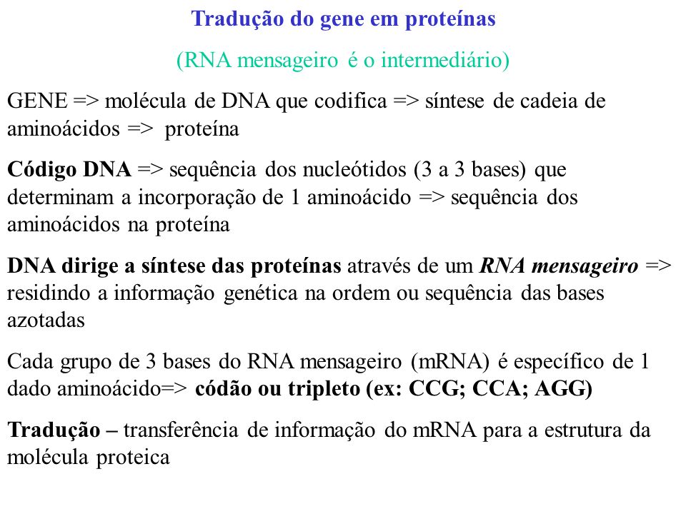 Tradução do gene em proteínas