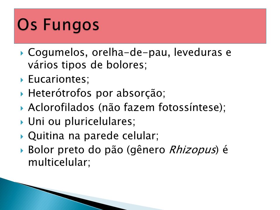 Os Fungos Cogumelos, orelha-de-pau, leveduras e vários tipos de bolores; Eucariontes; Heterótrofos por absorção;