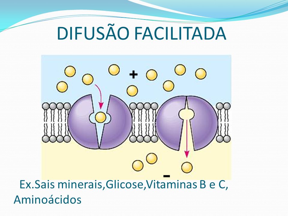 Ex.Sais minerais,Glicose,Vitaminas B e C, Aminoácidos