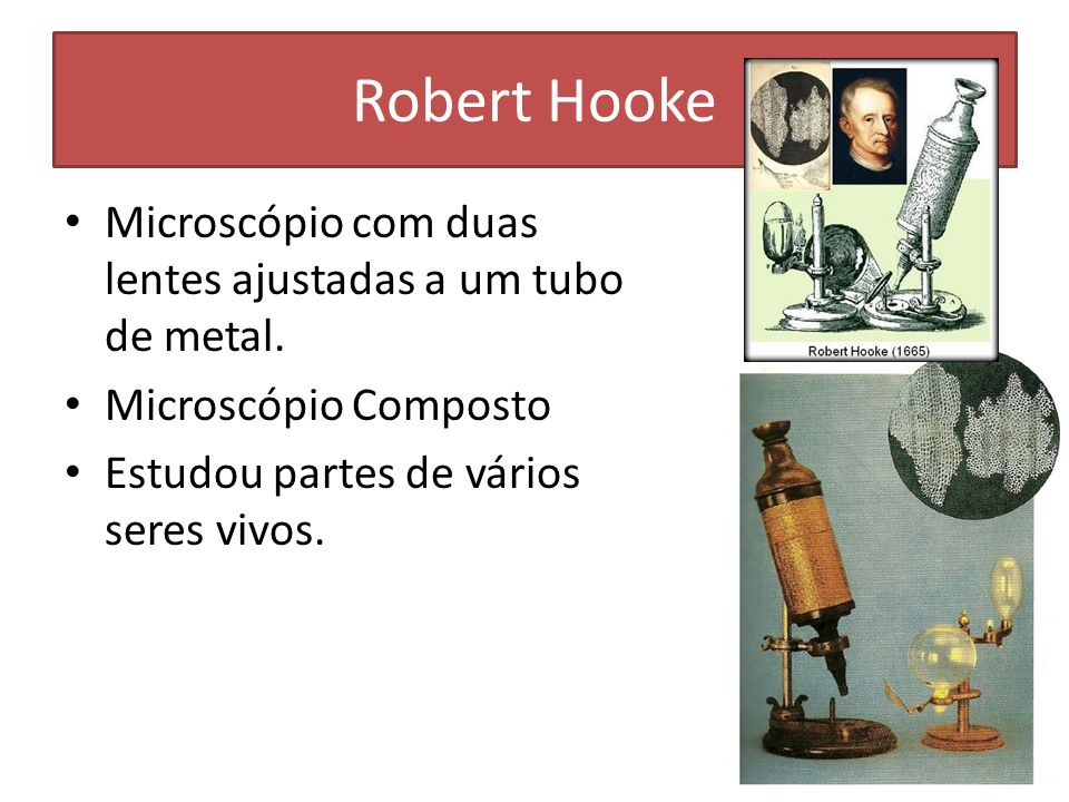 Robert Hooke Microscópio com duas lentes ajustadas a um tubo de metal.