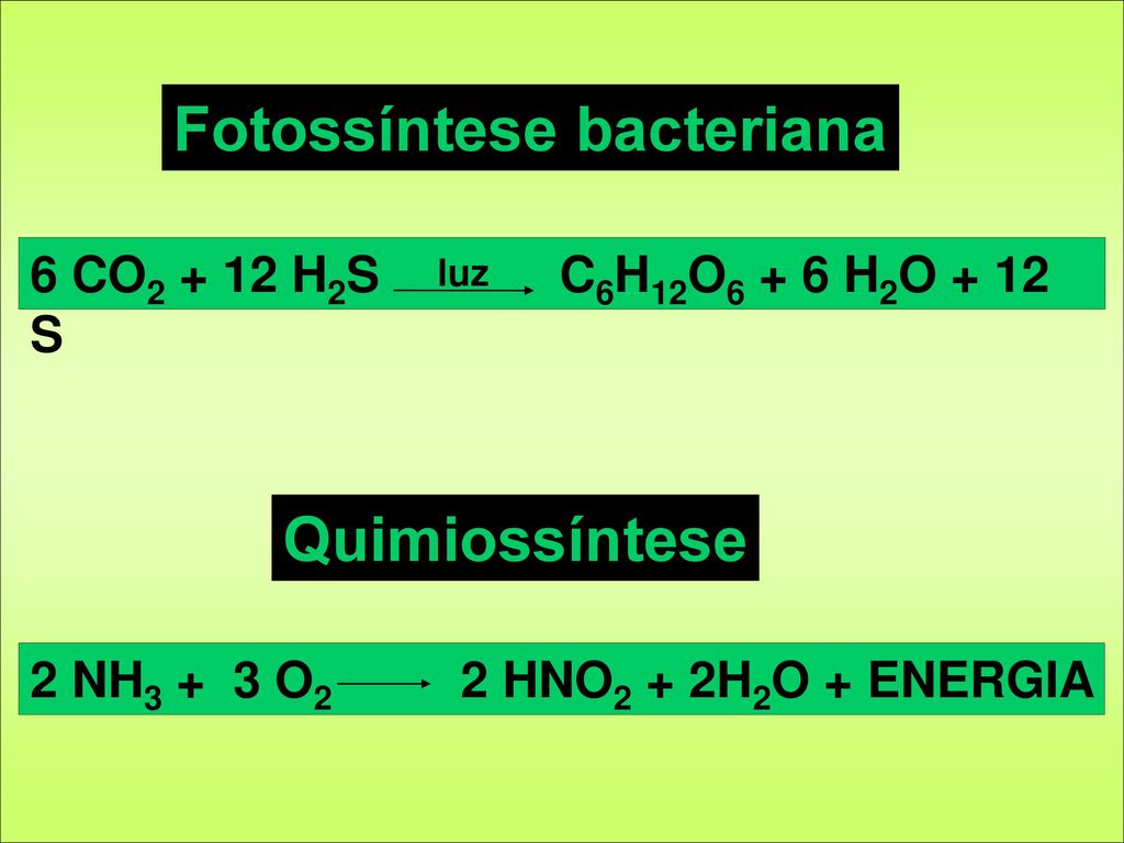 Fotossíntese bacteriana