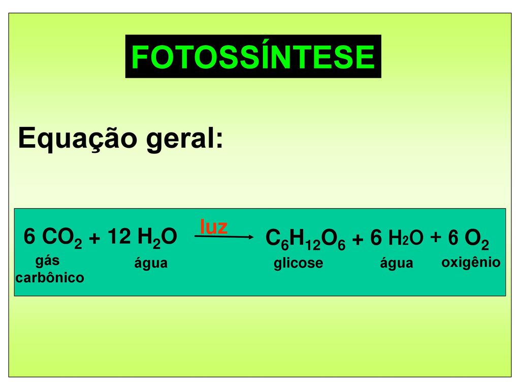 FOTOSSÍNTESE Equação geral: 6 CO H2O C6H12O6 + 6 H2O + 6 O2 luz