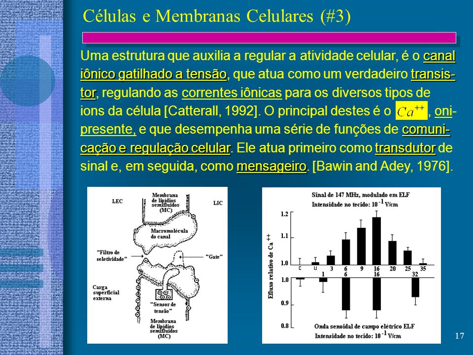 Células e Membranas Celulares (#3)