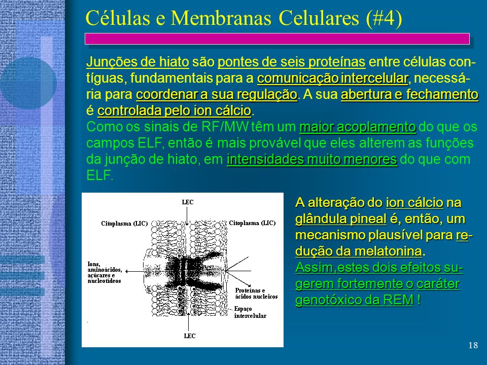 Células e Membranas Celulares (#4)