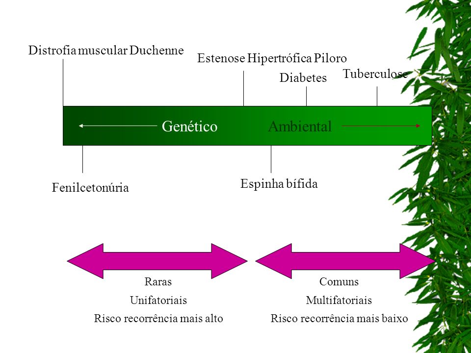 Genético Ambiental Distrofia muscular Duchenne