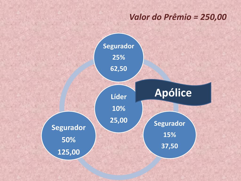 Apólice Valor do Prêmio = 250,00 50% 125,00 Líder 10% 25,00 Segurador
