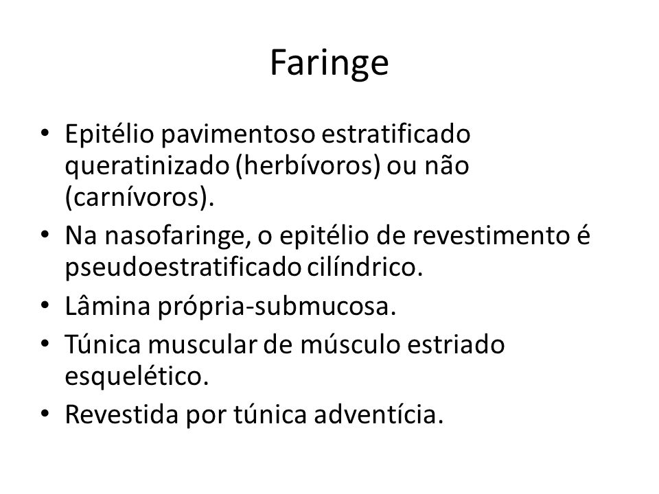 Faringe Epitélio pavimentoso estratificado queratinizado (herbívoros) ou não (carnívoros).