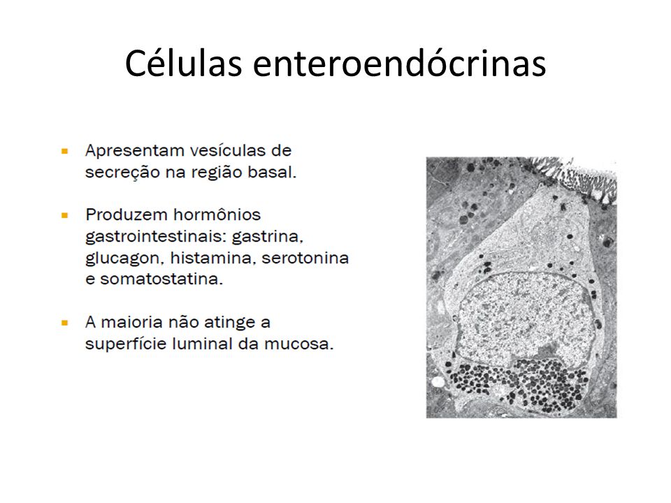 Células enteroendócrinas