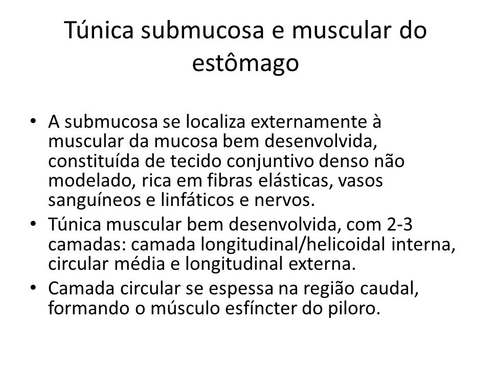Túnica submucosa e muscular do estômago