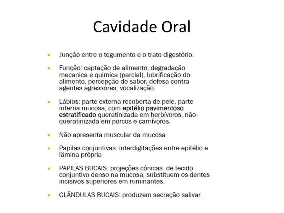 Cavidade Oral