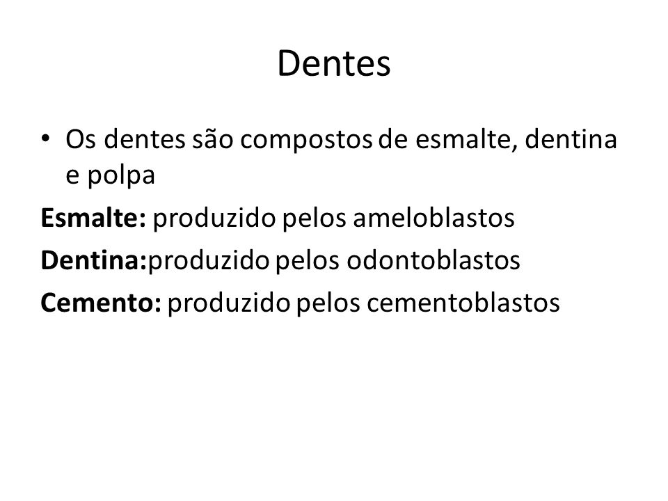 Dentes Os dentes são compostos de esmalte, dentina e polpa