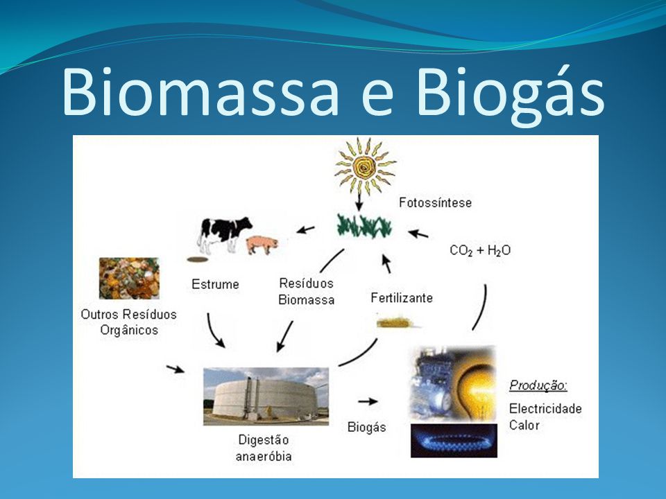 Biomassa e Biogás