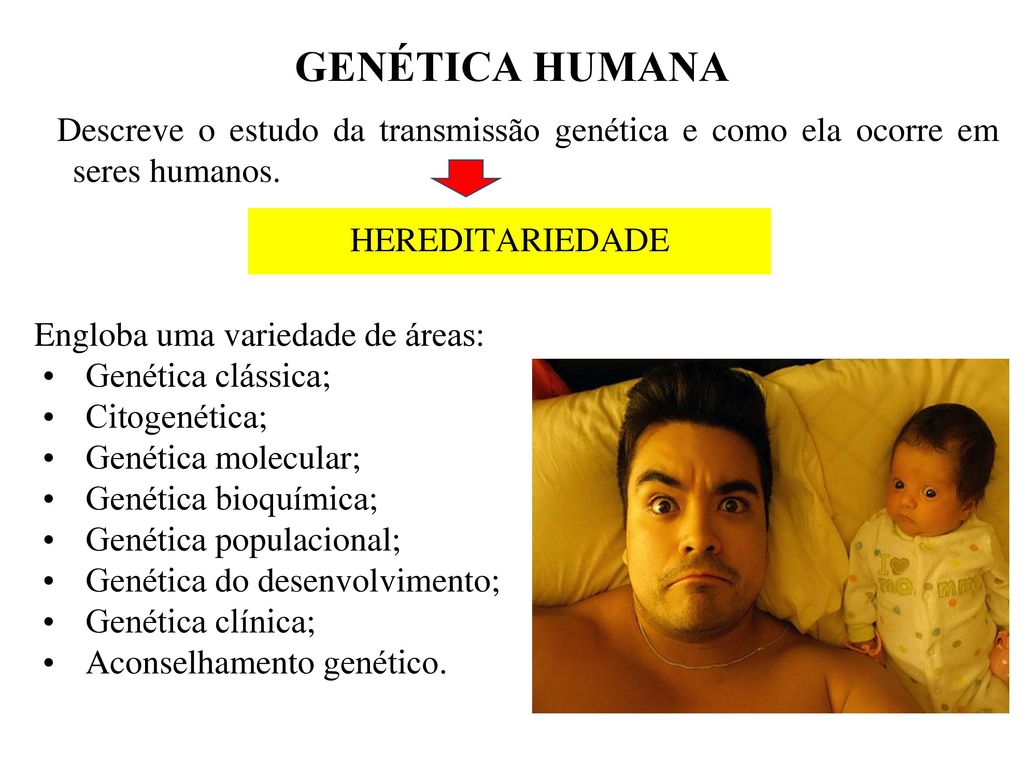 GENÉTICA HUMANA Descreve o estudo da transmissão genética e como ela ocorre em seres humanos. Engloba uma variedade de áreas: