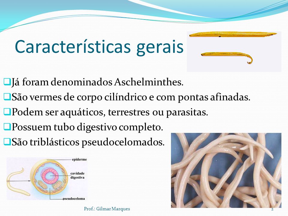 Filo dos nemathelminthes, Giardiasis doctor uk
