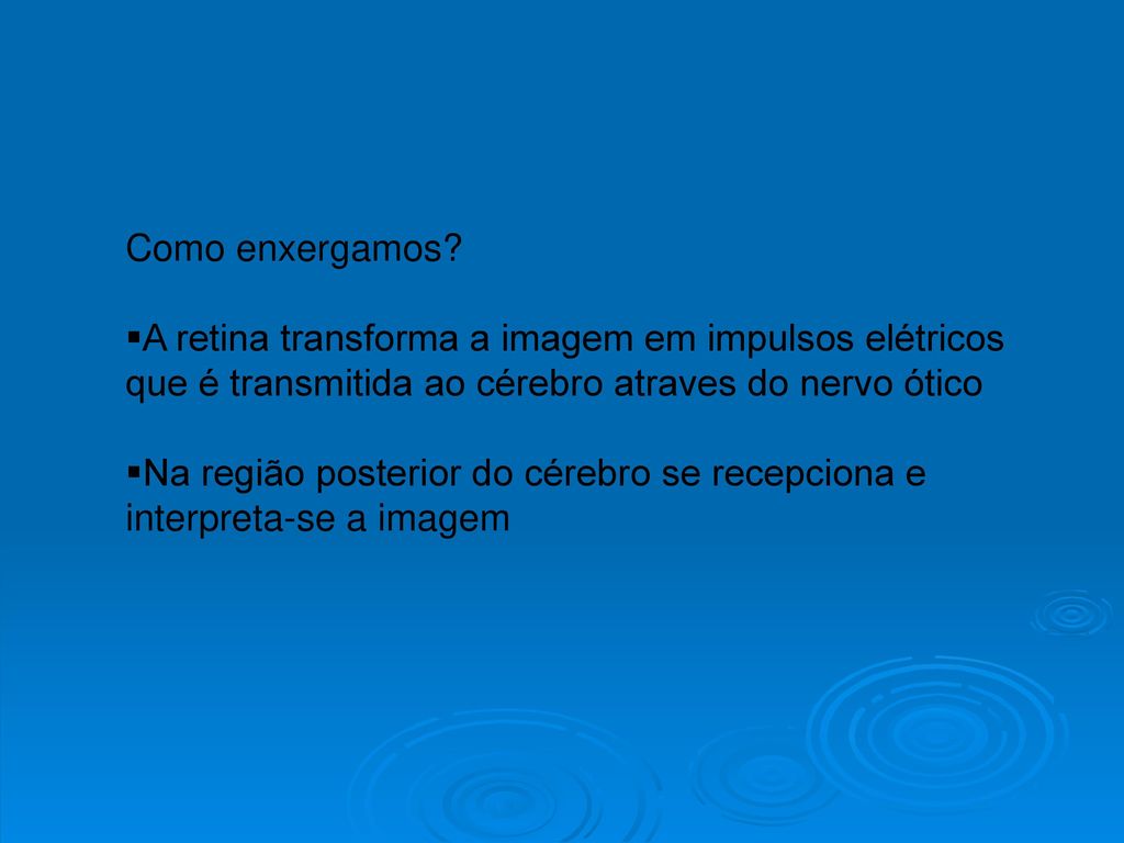 Na região posterior do cérebro se recepciona e interpreta-se a imagem