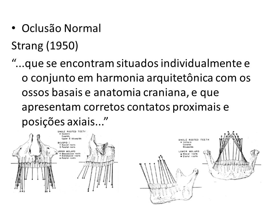 Oclusão Normal Strang (1950)