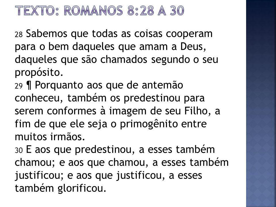 Texto: romanos 8:28 a 30