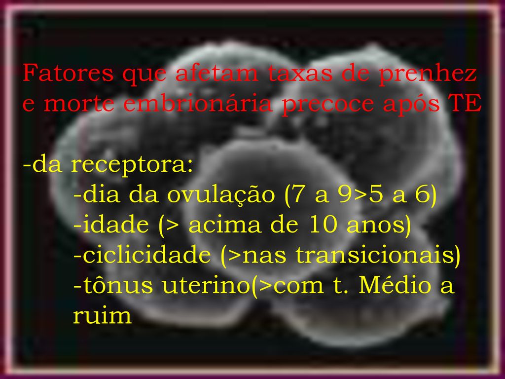 Fatores que afetam taxas de prenhez e morte embrionária precoce após TE -da receptora: -dia da ovulação (7 a 9>5 a 6) -idade (> acima de 10 anos) -ciclicidade (>nas transicionais) -tônus uterino(>com t.