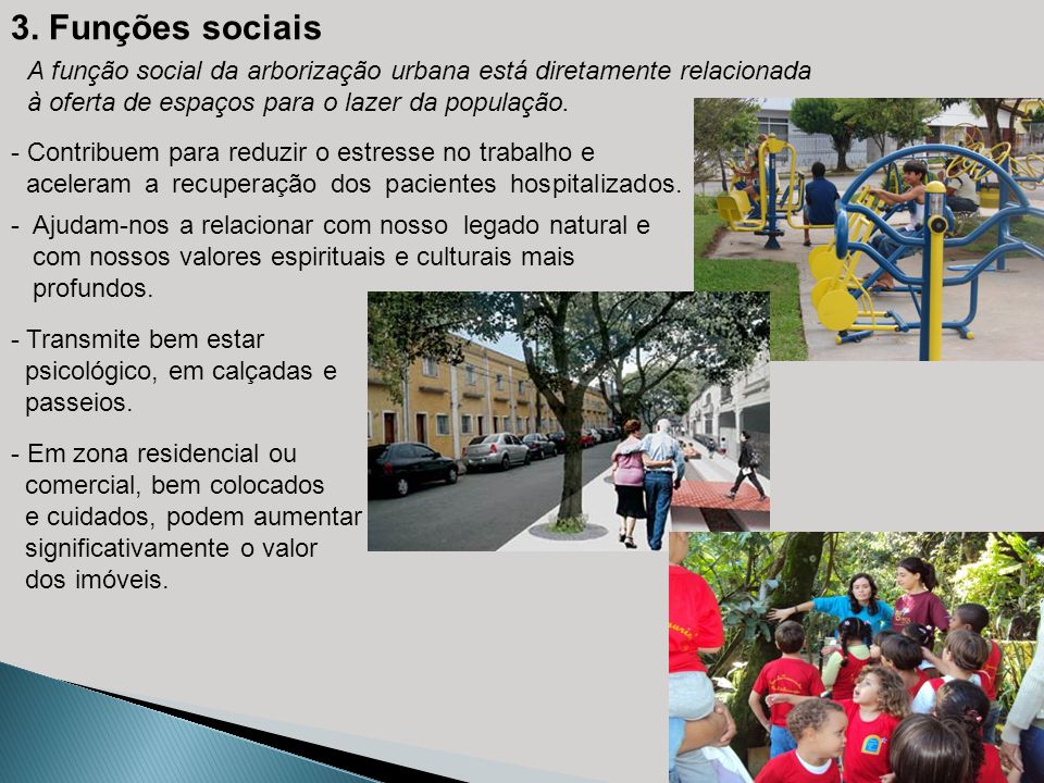 3. Funções sociais A função social da arborização urbana está diretamente relacionada. à oferta de espaços para o lazer da população.